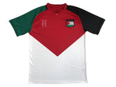 Camiseta de futebol com as cores da Bandeira Palestina - Loja Al Baraka
